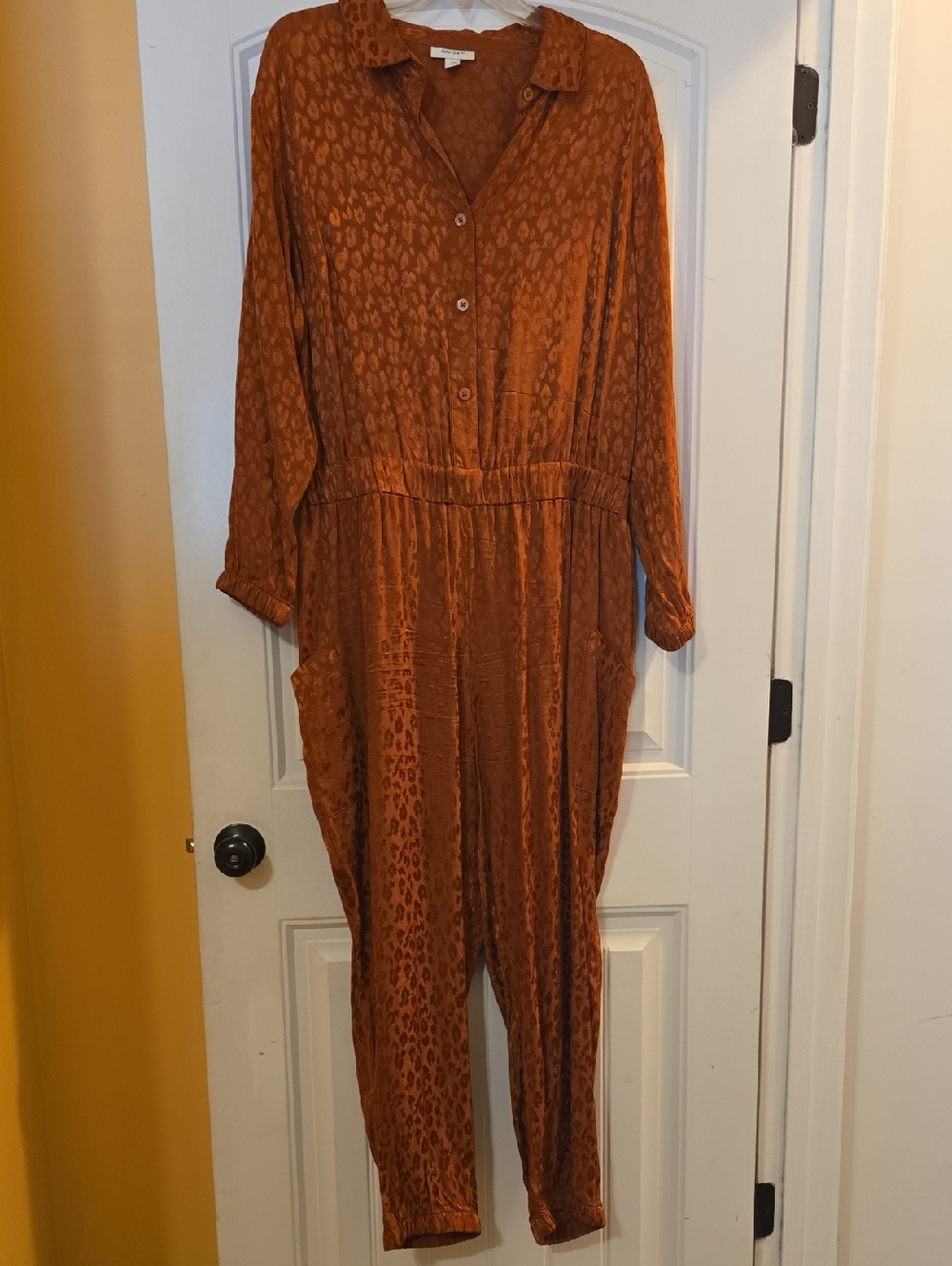 Rust Animal-Print Button-Front Jumpsuit